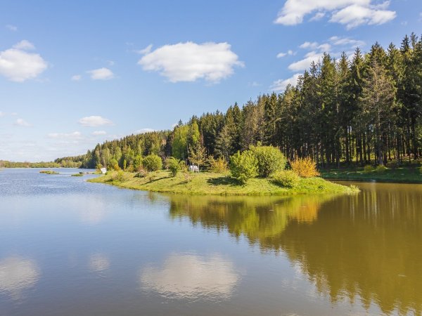 Прекрасный участок в престижной коттеджной застройке, в лесном массиве, на побережье озера!