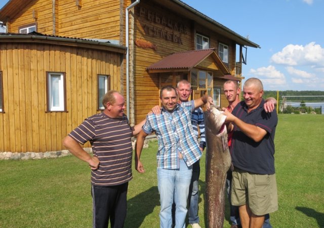 Аренда на сутки а.у., д.Чечевичи, 50км(Мог)