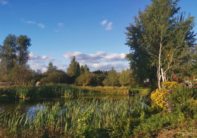 Участок (дача) с/т.Жуково