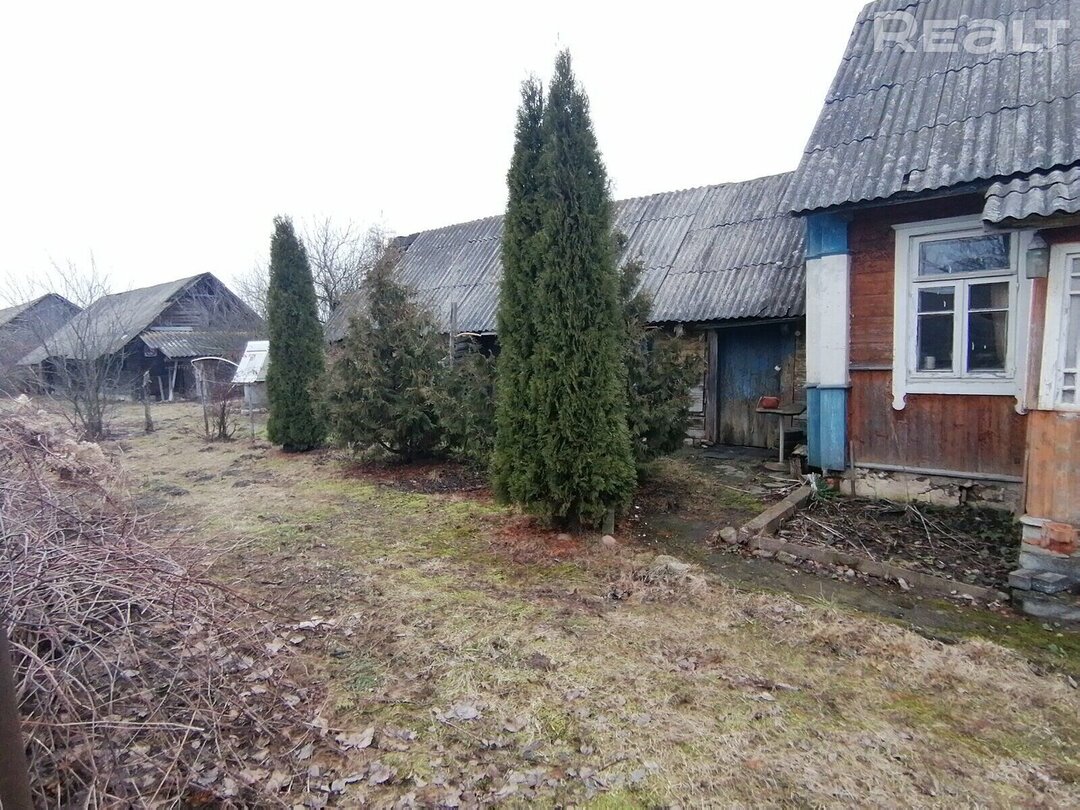 Недорогой вариант под дачу: дом и баня на берегу озера в лесной деревне в 85  км от Минска — последние Новости на Realt