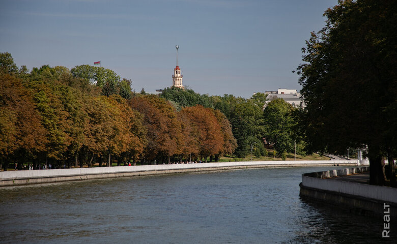 В Минске больше не будут высаживать березы, каштаны и тополя. Почему?