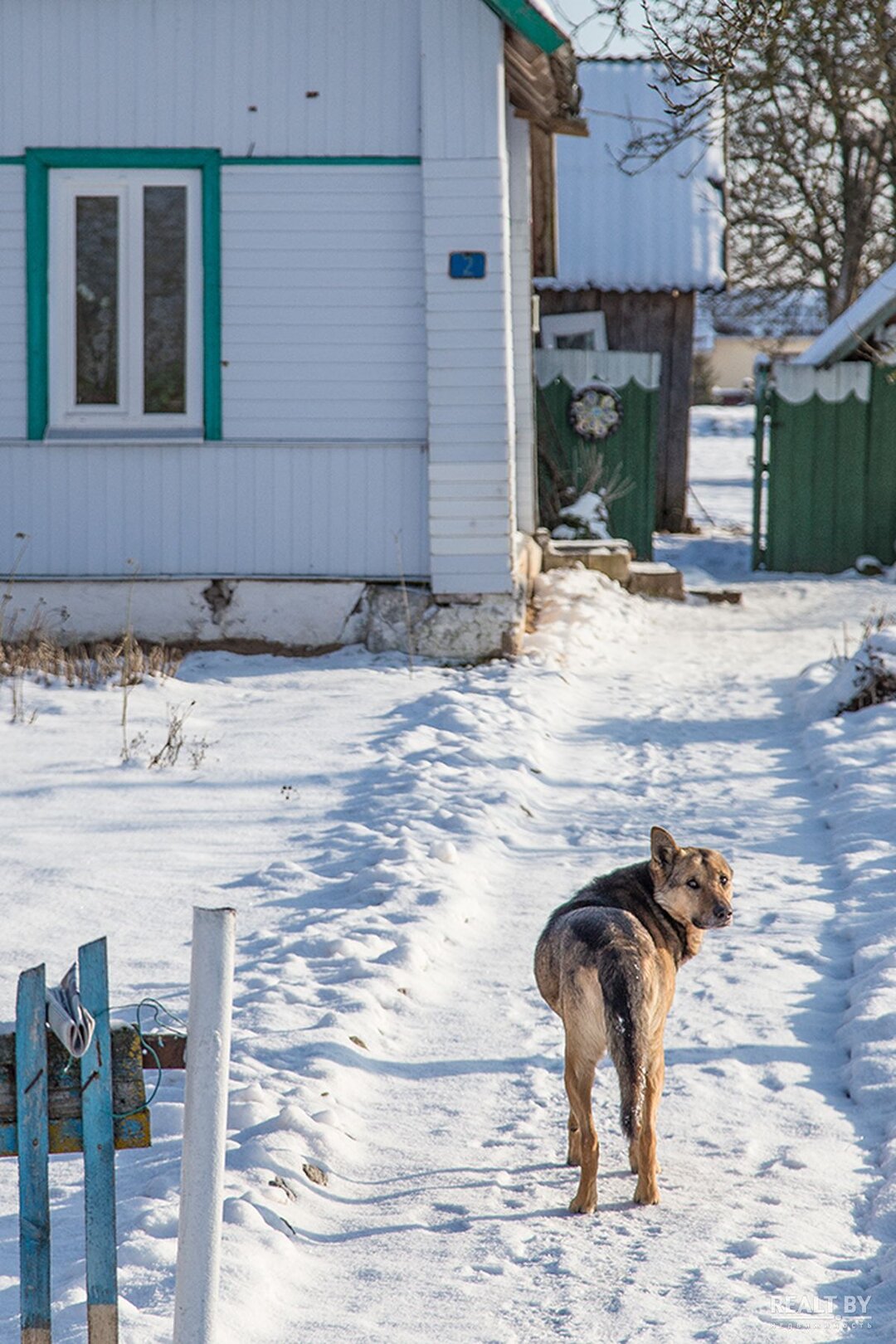 Судьба белорусской провинции на примере агрогородка Башни — последние  Новости на Realt