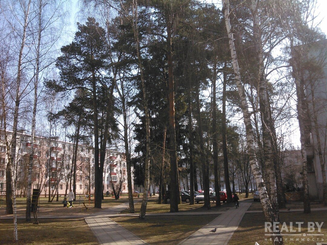 Сталинку лучше без компаса не смотреть». Архитектор-эколог предложил  простой способ оценить качество жилья — последние Новости на Realt