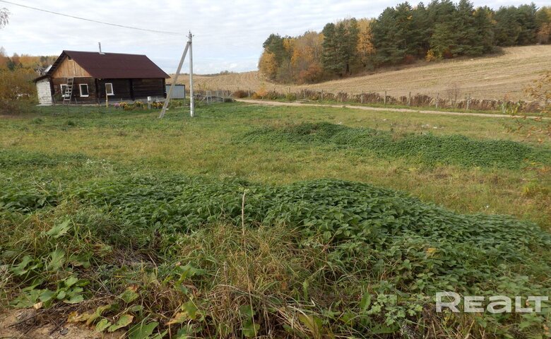 Участки в СТ с аукциона. Какие есть недорогие варианты недалеко от Минска?
