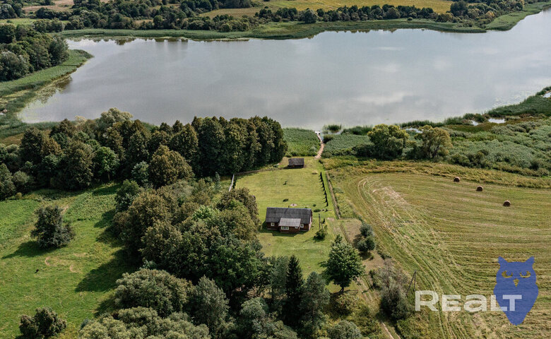 На аукцион выставили участок на берегу озера возле Витебска. Стоит дешевле тысячи долларов