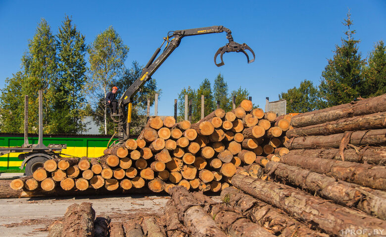 Белорусы купили древесину и передали родственникам. Госконтроль не оценил