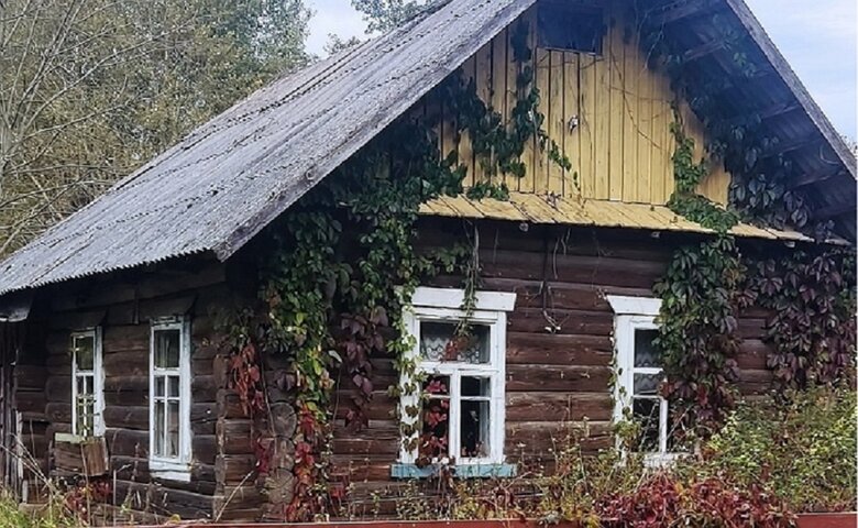 40 рублей за пустующую хату. Смотрим дома, которые еще сгодятся под дачу в деревне