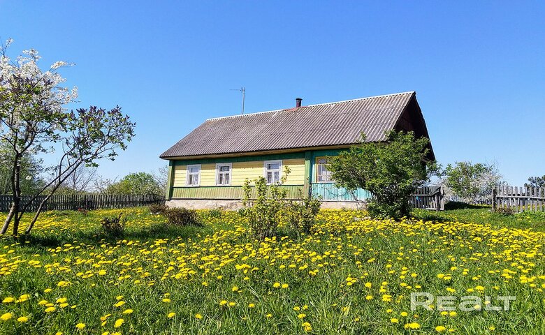 Жилой хутор рядом с Минском: дом с отоплением и водой, ремонта не требует. Что по цене?