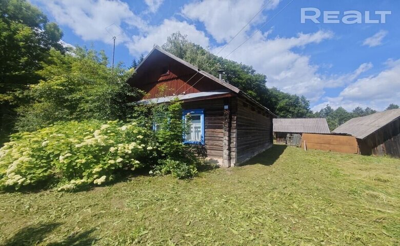 Дом на берегу озера. Смотрим классный и недорогой вариант под дачу возле Лепеля