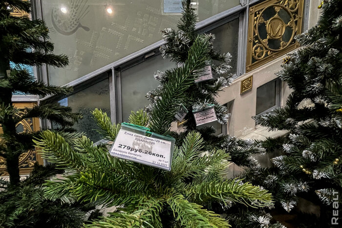 В Минске уже заработали новогодние базары. Смотрим, сколько стоят елки и украшения в этом сезоне
