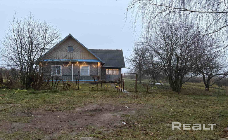 До 30 тысяч долларов. Дома возле Минска с газом, водой, баней и на берегу Свислочи