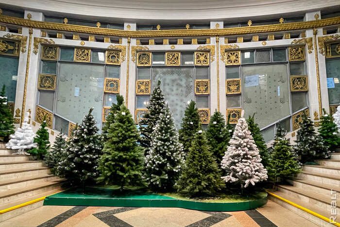 В Минске уже заработали новогодние базары. Смотрим, сколько стоят елки и украшения в этом сезоне