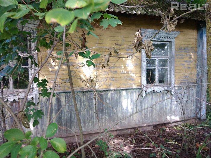 За 1 рубль в месяц. В деревне Минской области почти бесплатно сдают дом. В чем подвох?