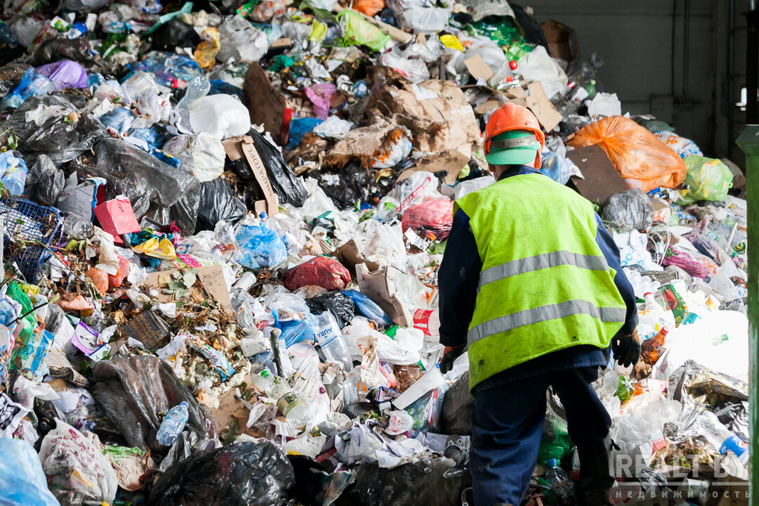 Сортировка мусора: почему это важно и с чего начинать
