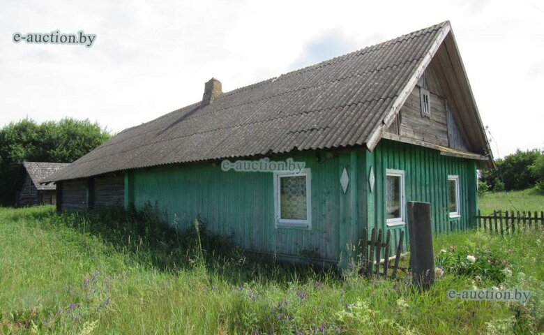 На торги выставили дом возле Налибокской пущи. Цена приятная — 393 доллара