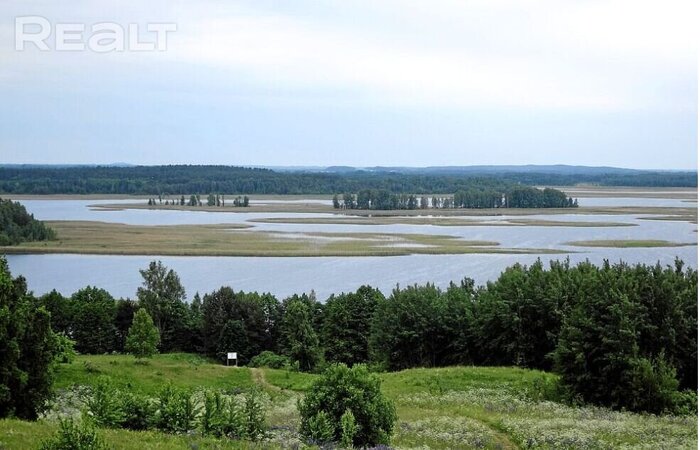 От 15 тысяч долларов. Показываем, какие недорогие дома продаются на берегах белорусских озер