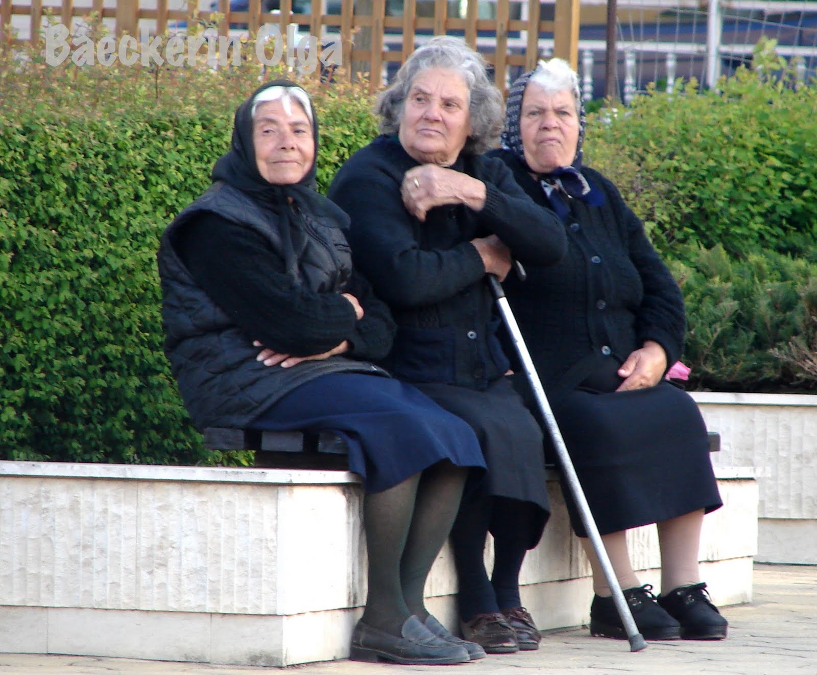 Включи 3 бабушки. Три старушки на лавочке. Три бабки на скамейке. Бабки на лавке. Бабушки на скамейке.
