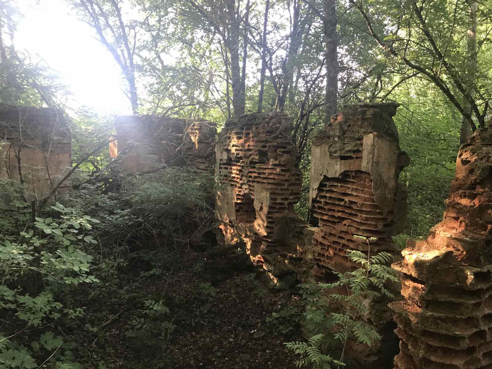 Потомок дворянского рода держит коз, варит сыр и выращивает овощи под  Минском — последние Новости на Realt